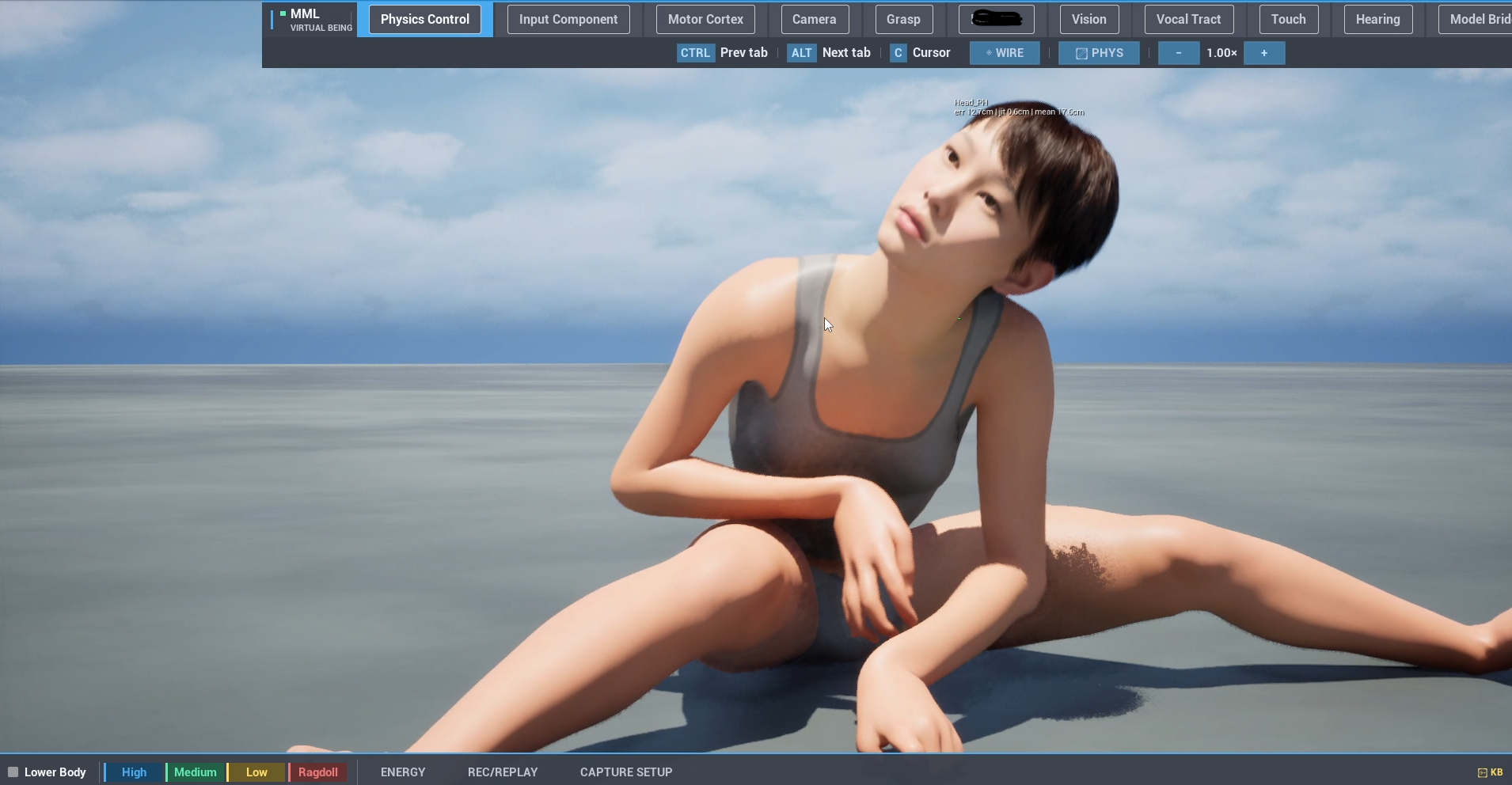 Avatar visualization