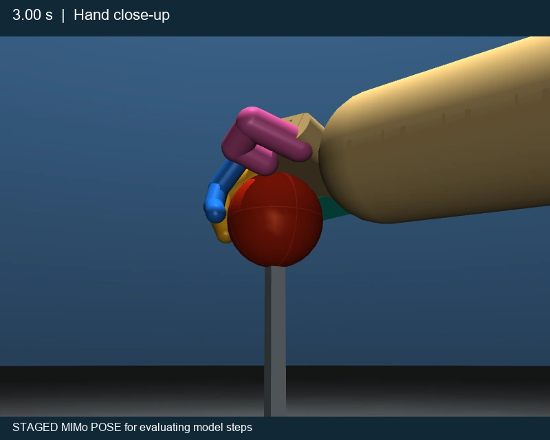 Final staged hand pose, palm-side close-up