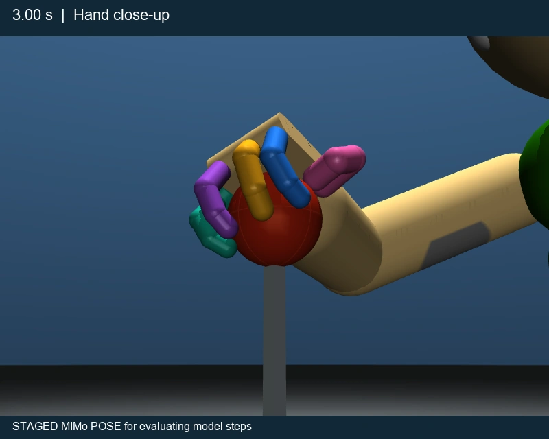 Final staged hand pose, thumb-side close-up